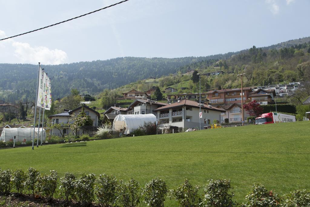 La Terrazza Sul Lago Pergine Valsugana Εξωτερικό φωτογραφία